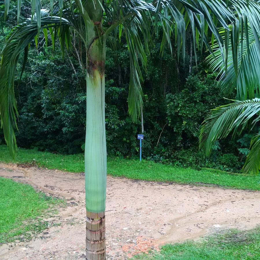 Suites Ubatuba Praia Da Lagoinha Zewnętrze zdjęcie